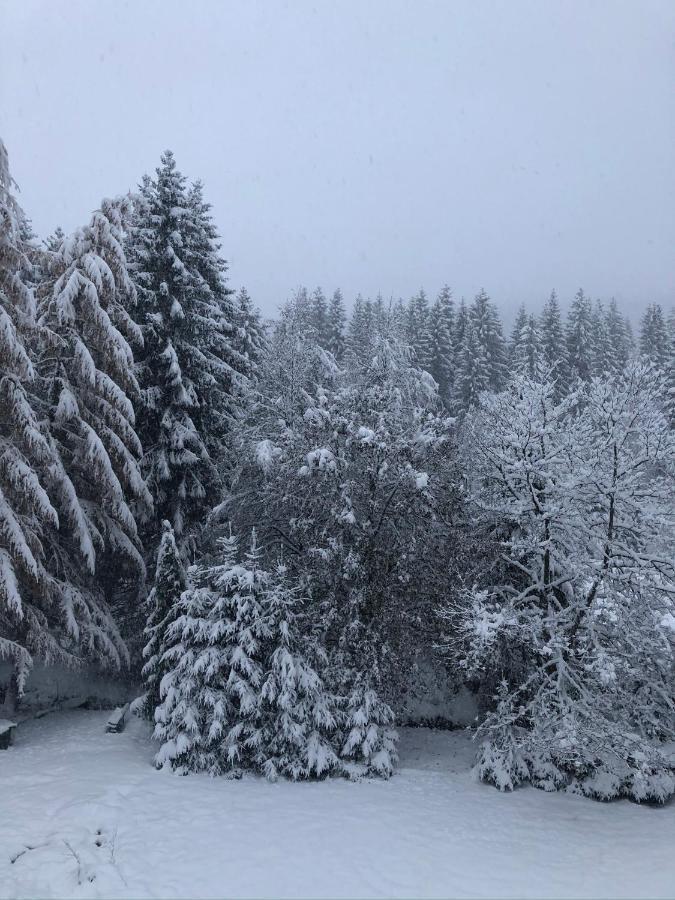 Le Chalet Du Narouel Gérardmer Esterno foto