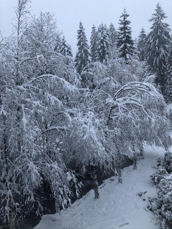 Le Chalet Du Narouel Gérardmer Esterno foto